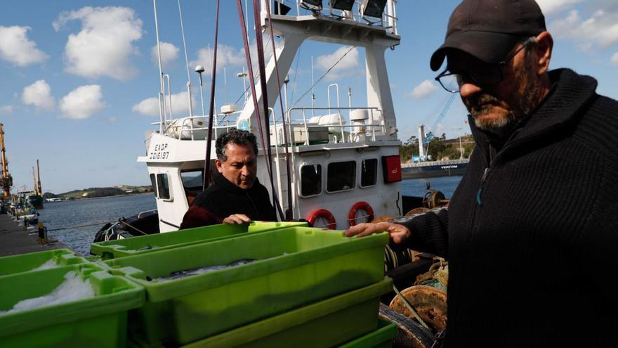 Descarga de pescado en el puerto de Avilés del arrastrero «Luscinda», de Ignacio Santiago. | MARA VILLAMUZA