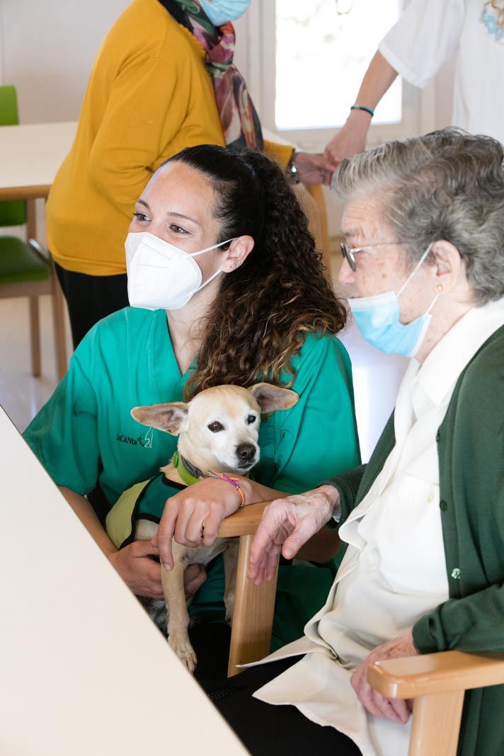 Uc, un terapeuta de cuatro patas en Ibiza