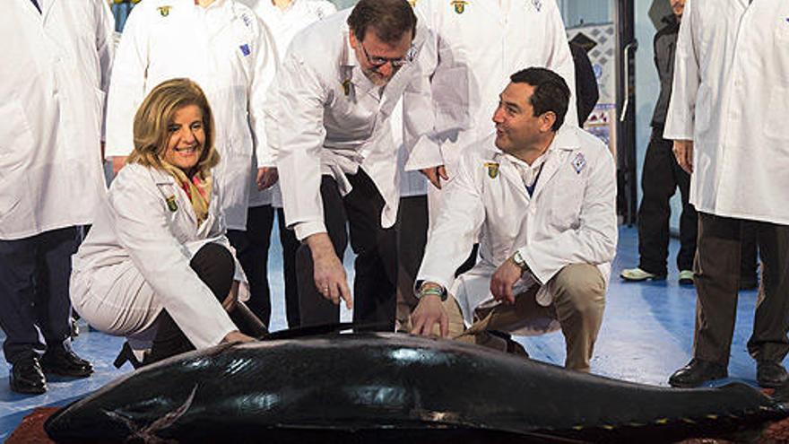 Rajoy, en una empresa de atunes en Málaga.
