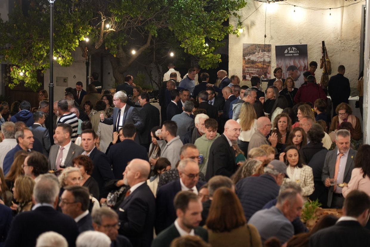 Las imágenes de la gala organizada por la Diputación en el Día de la Provincia