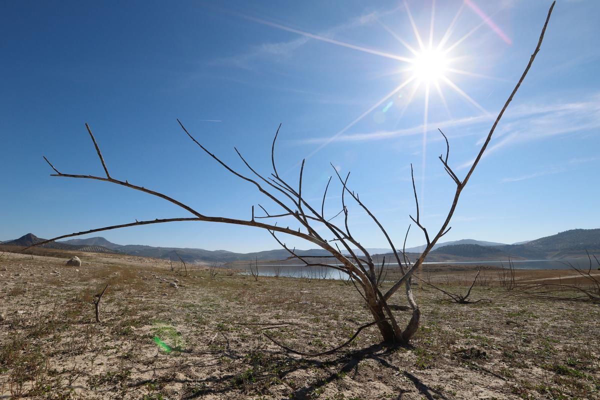 El pantano de Iznájar, afectado por la sequía.