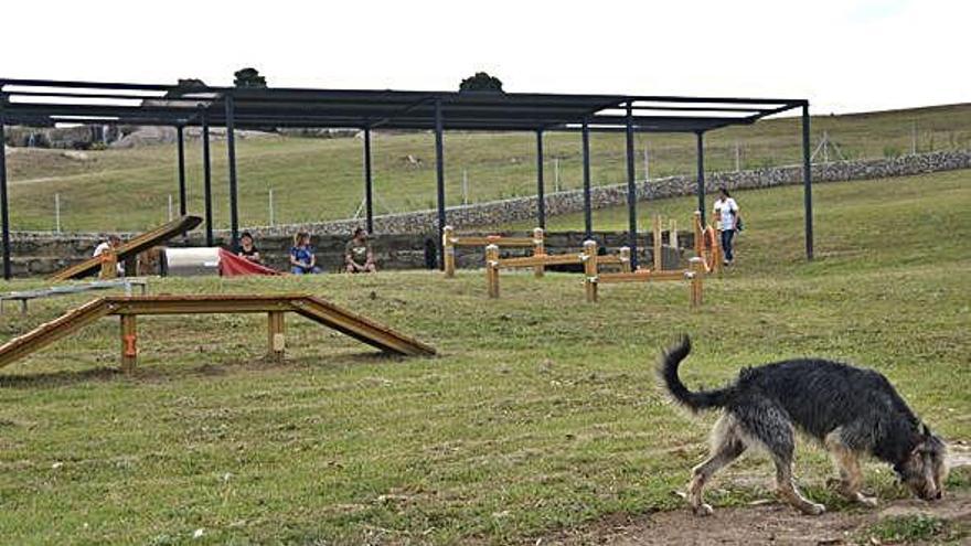 El área canina del parque de Bens.