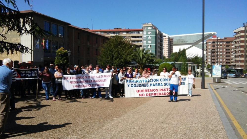 Manifestación de ganaderos en Oviedo