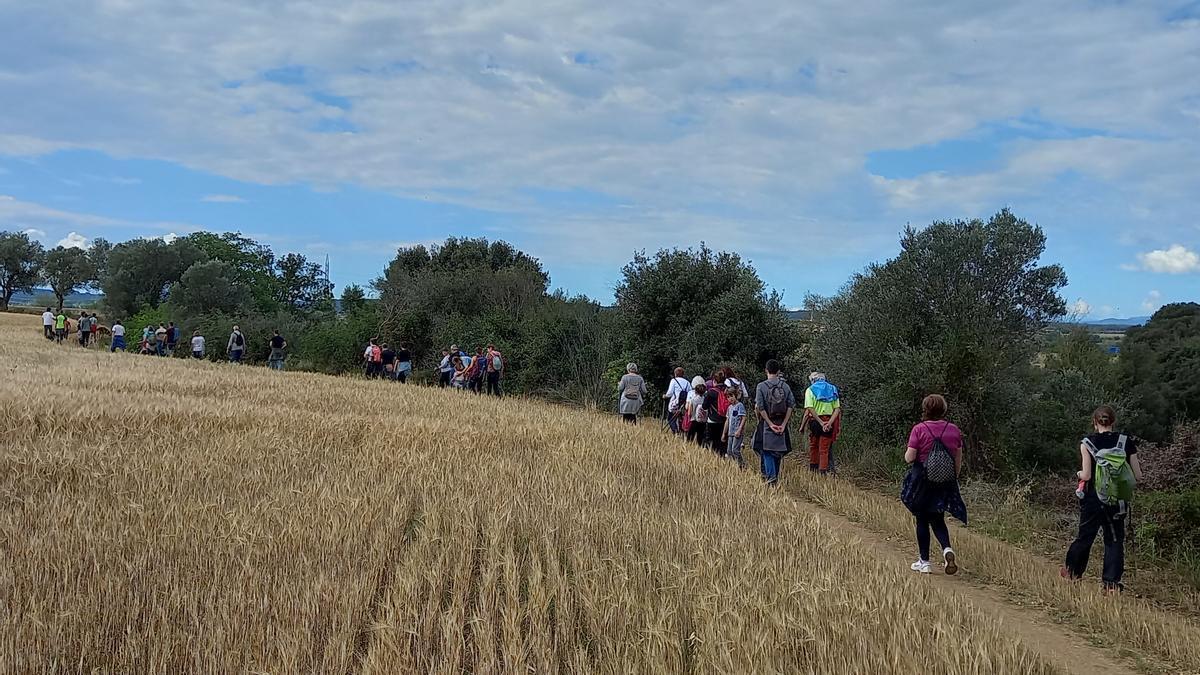 Els participants a la caminada contra la variant de Vilafant. | CEDIDA A L'ACN