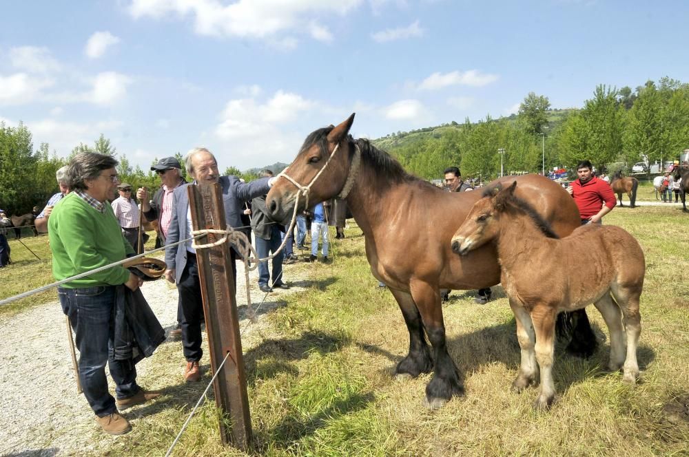 Feria de La Ascensión en Olloniego