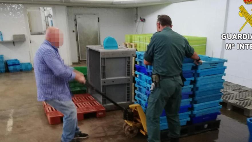 Golpe al pescado ilegal en Calp y Cox