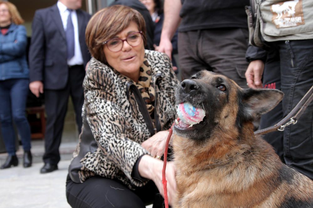 Exhibición canina en la Asamblea regional