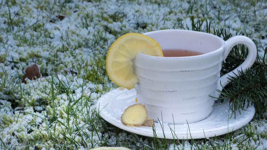 La mejor mezcla de infusiones para reducir la barriga y adelgazar