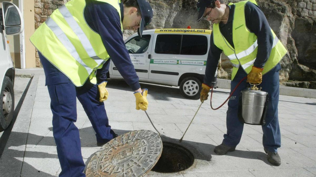 Un equipo de desinfección actúa en una alcantarilla