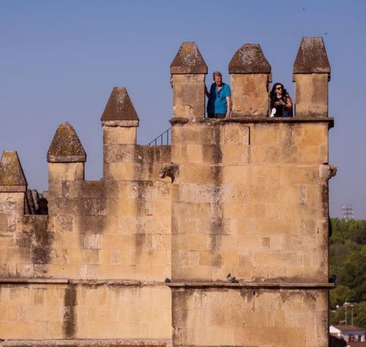 El Alcázar contará con más espacio visitable este año