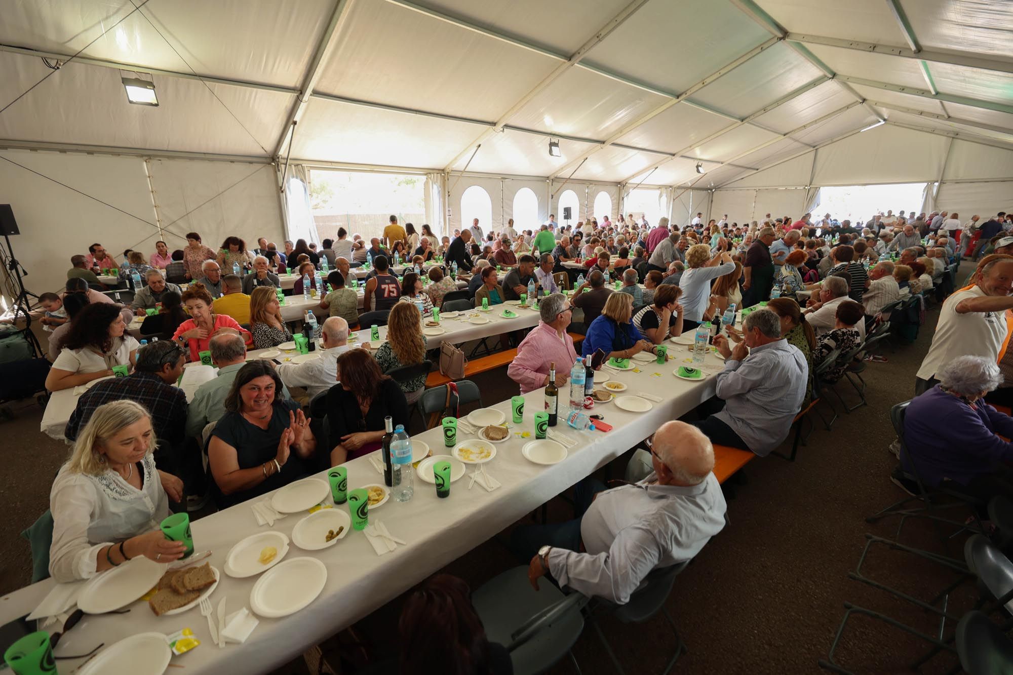 La asamblea de la Cooperativa Agrícola de Santa Eulària, en imágenes