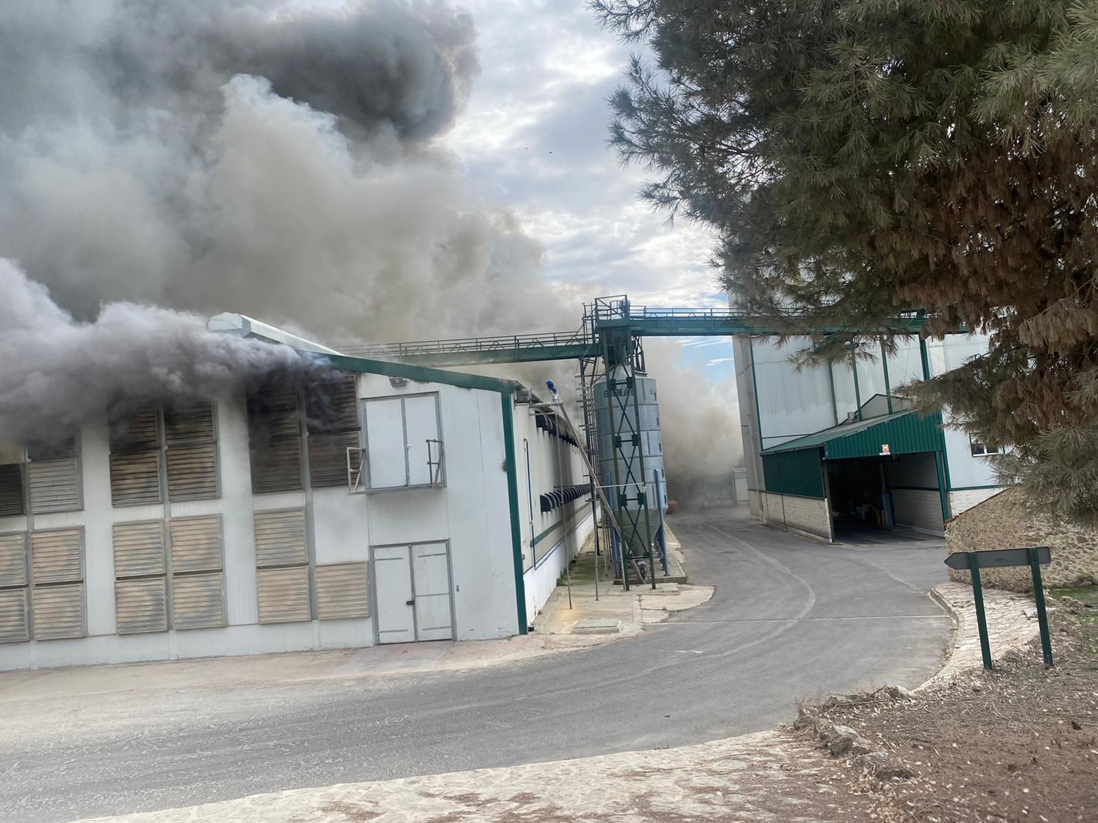 Incendio en la planta de Huevos Guillén en Sinarcas