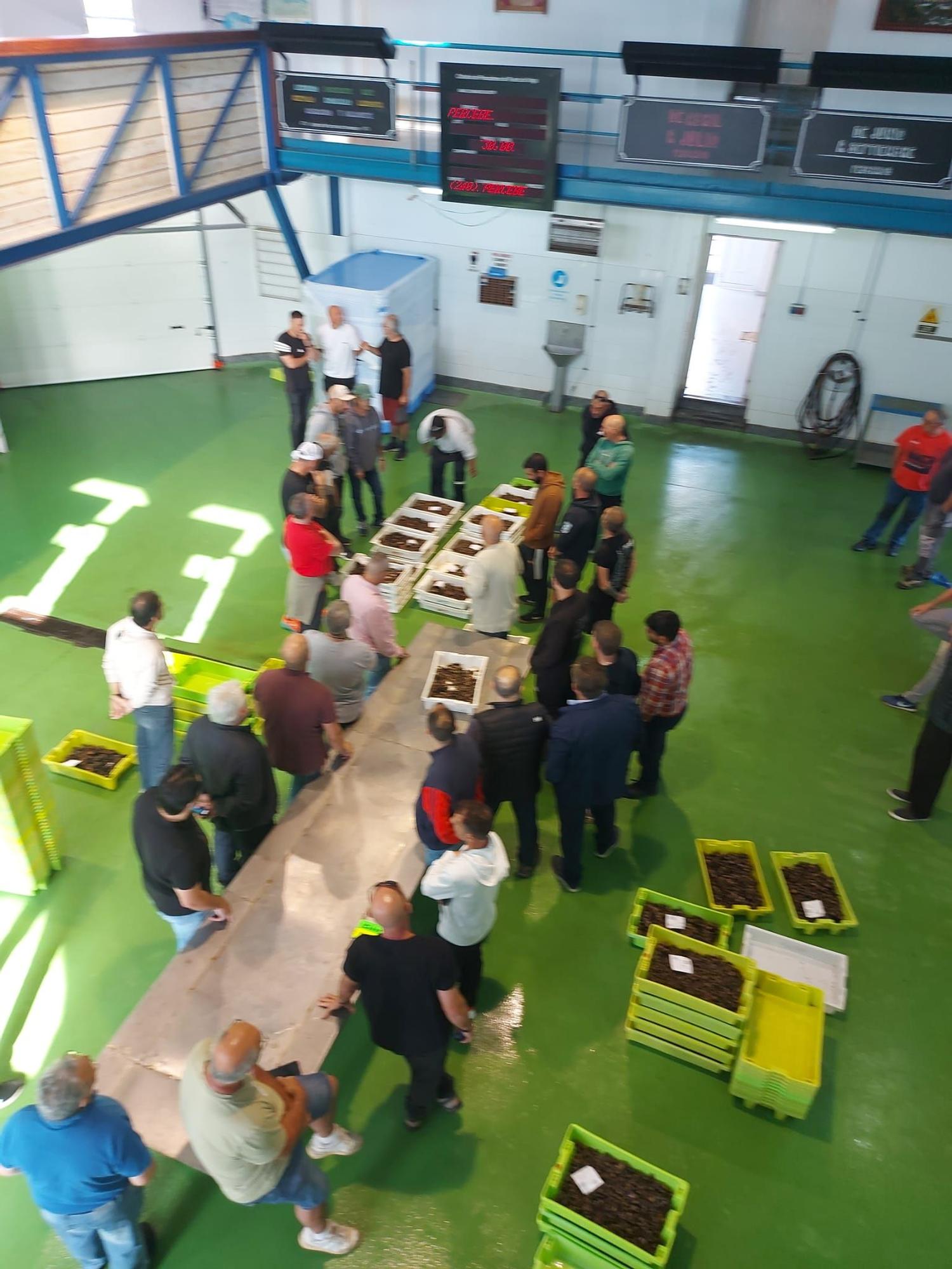 En imágenes: La primera subasta de percebe de la temporada en la rula de Puerto de Vega