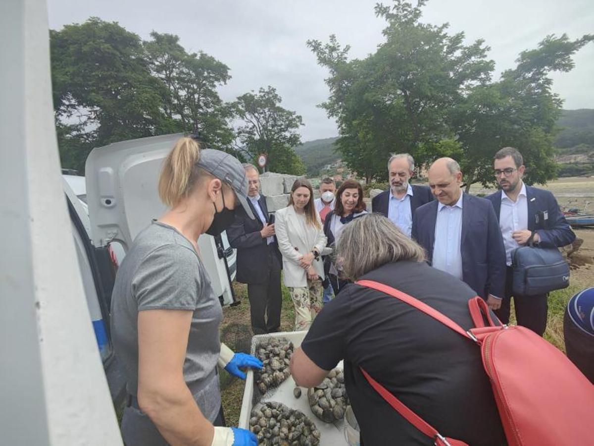 La delegación comprobando el control de medidas y cuotas. |   // S.A.