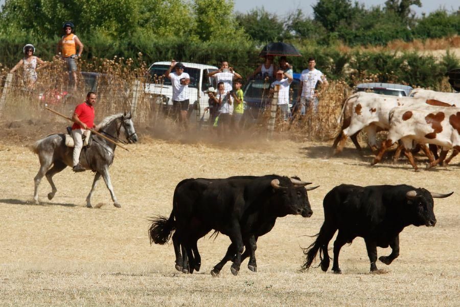 Fiestas en Zamora: Espantes en Fuentelapeña