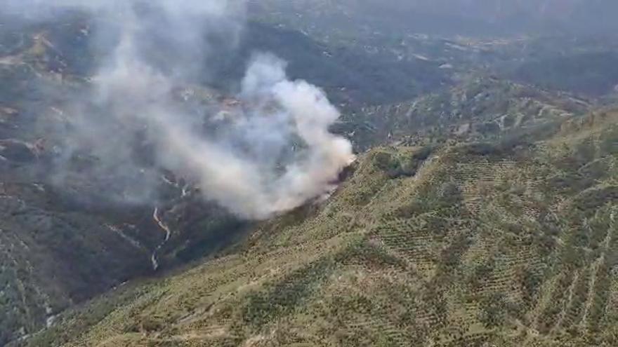 Imágenes del incendio en Guarguera