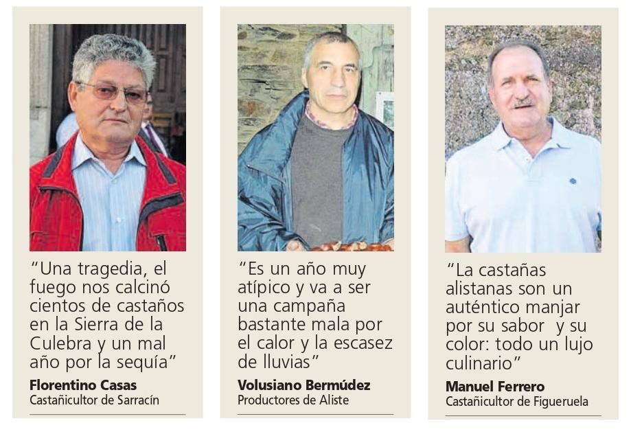 Castañicultores: Florentino Casas, Volusiano Bermúdez y Manuel Ferrero.