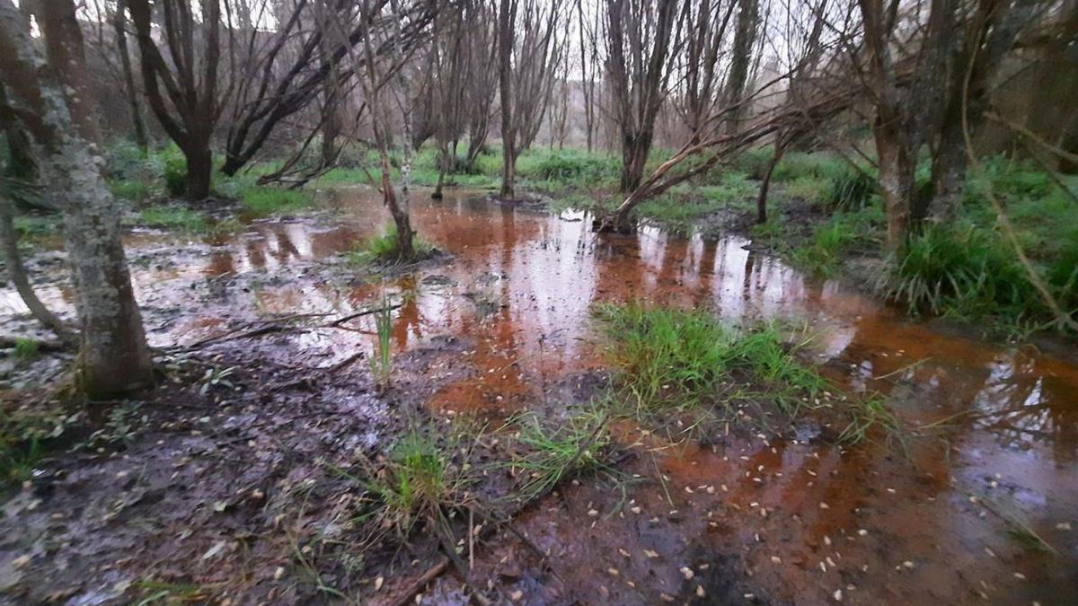 Vertido en el río Mero, en el entorno de la planta potabilizadora de A Telva, este miércoles. |   // LA OPINIÓN