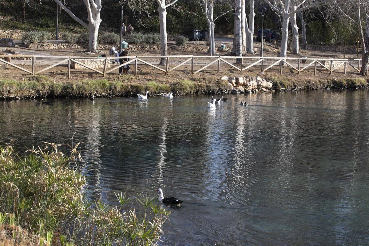 El paraje de la Albufera de Anna, en una imagen de archivo.