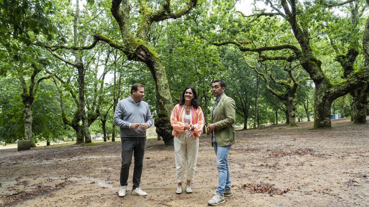 El alcalde de Cerdedo Cotobade, Jorge Cubela, la secretaria xeral del PPdeG, Paula Prado, y el presidente del PP en la provincia de Pontevedra, Luis López, en la Carballeira de San Xusto.
