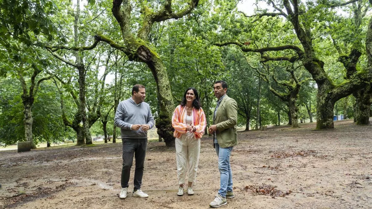 «Todo listo» en Cerdedo Cotobade para recibir a Feijóo: el PPdeG urgirá elecciones porque «España no aguanta más»