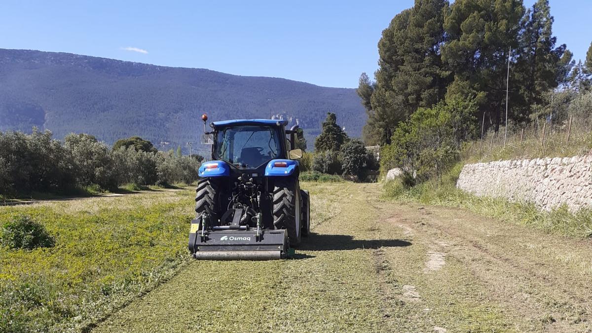 Trabajos de desbroce en uno de los solares municipales de Alcoy
