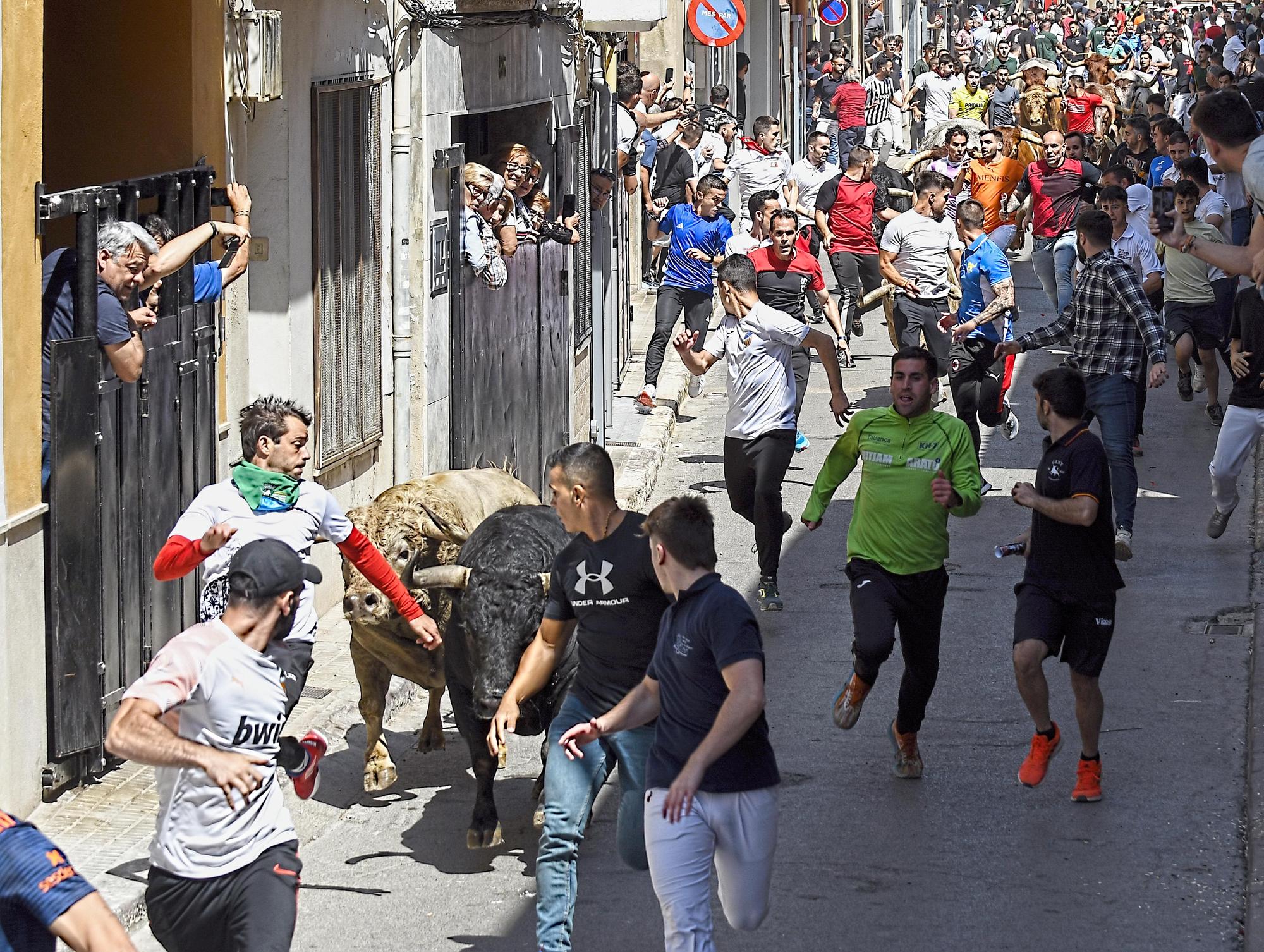 MACROGALERÍA DE FOTOS: Búscate en el encierro y los primeros 'bous' de las fiestas de Almassora