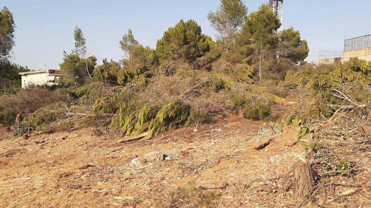 Paratge sense vegetació després del pas de les màquines