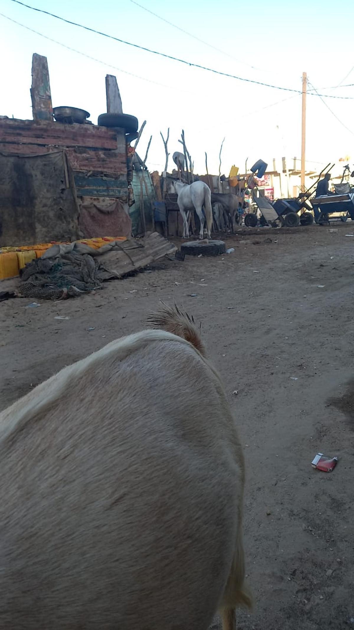 Barrio en donde reside Hassane en la capital de Mauritania.