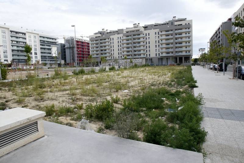 Fotogalería: Abandono de zonas verdes en Parque Venecia