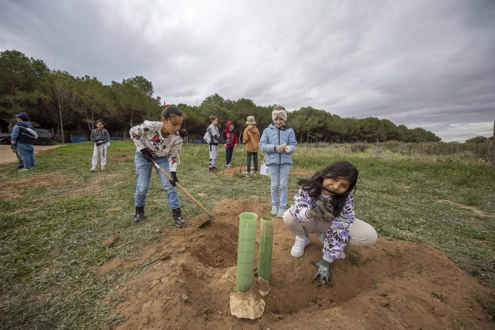 Jornada escolar plantación de especies autóctonas junto al parque natural de las lagunas de Torrevieja y La Mata