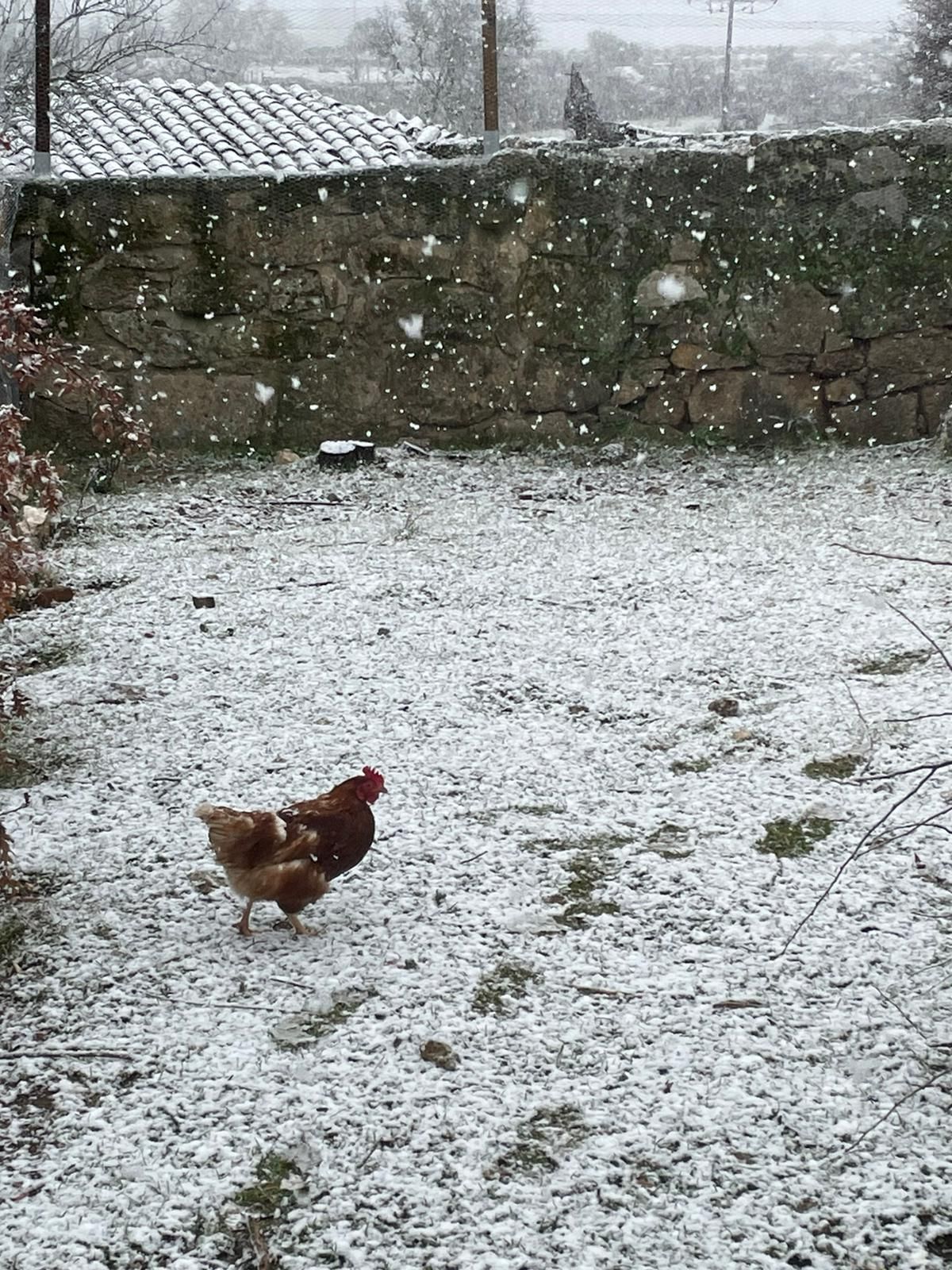 GALERIA | Jueves blanco en los pueblos de Zamora