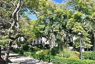 La reforma del jardín de San Carlos incluye la recuperación de su diseño histórico