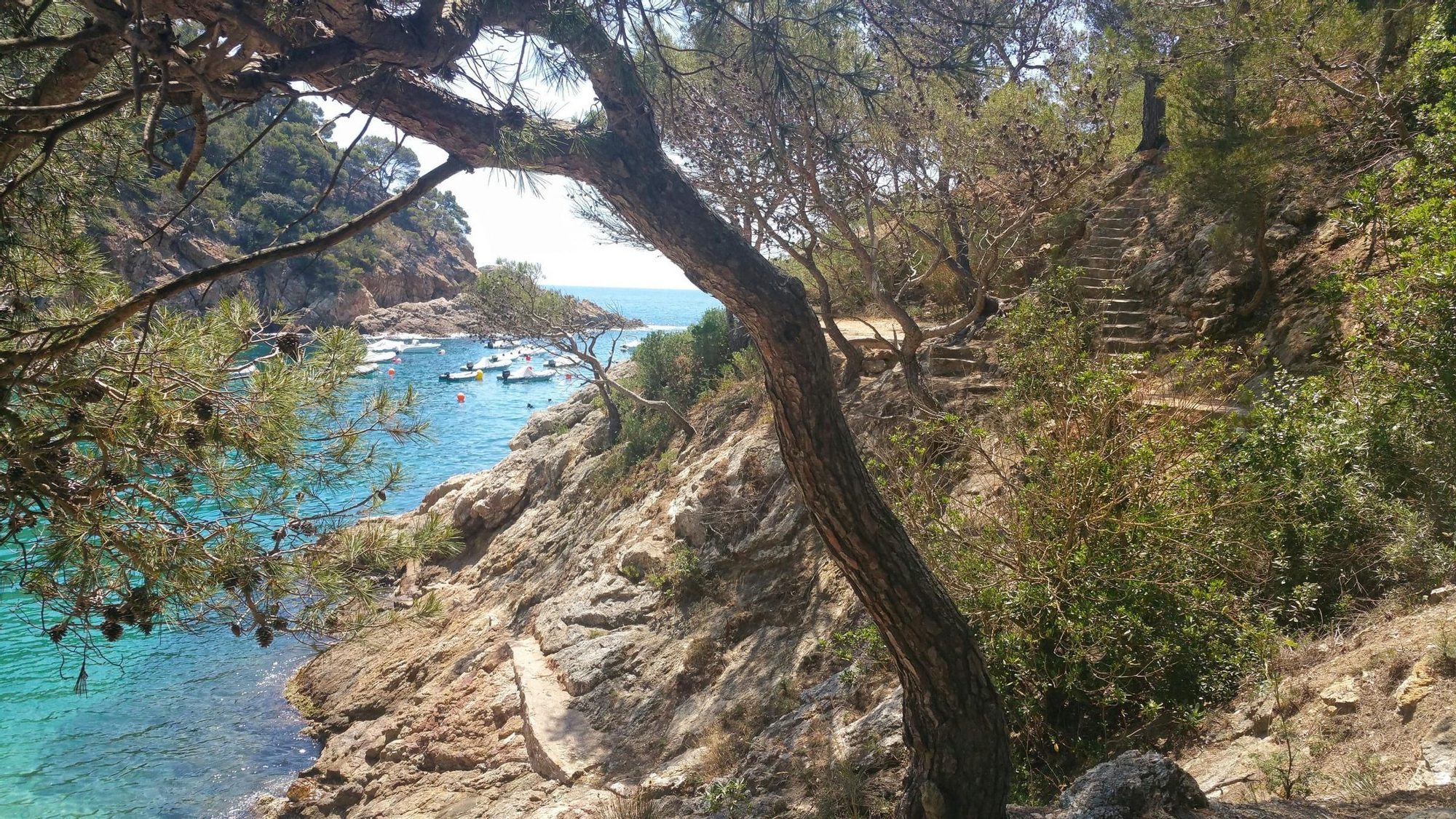 Camino de ronda norte en Tossa de Mar