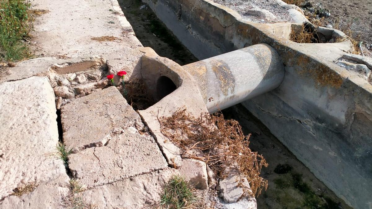Dos claveles en la acequia donde fue asesinada Yolanda Valera hace tres años en La Foia, una pedanía de Elche