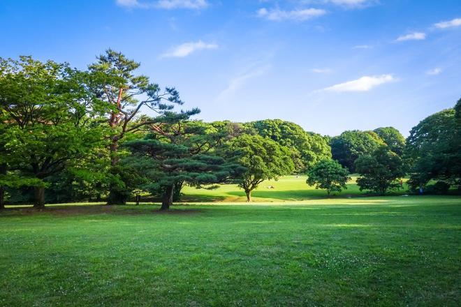 Parque Yoyogi, Tokio