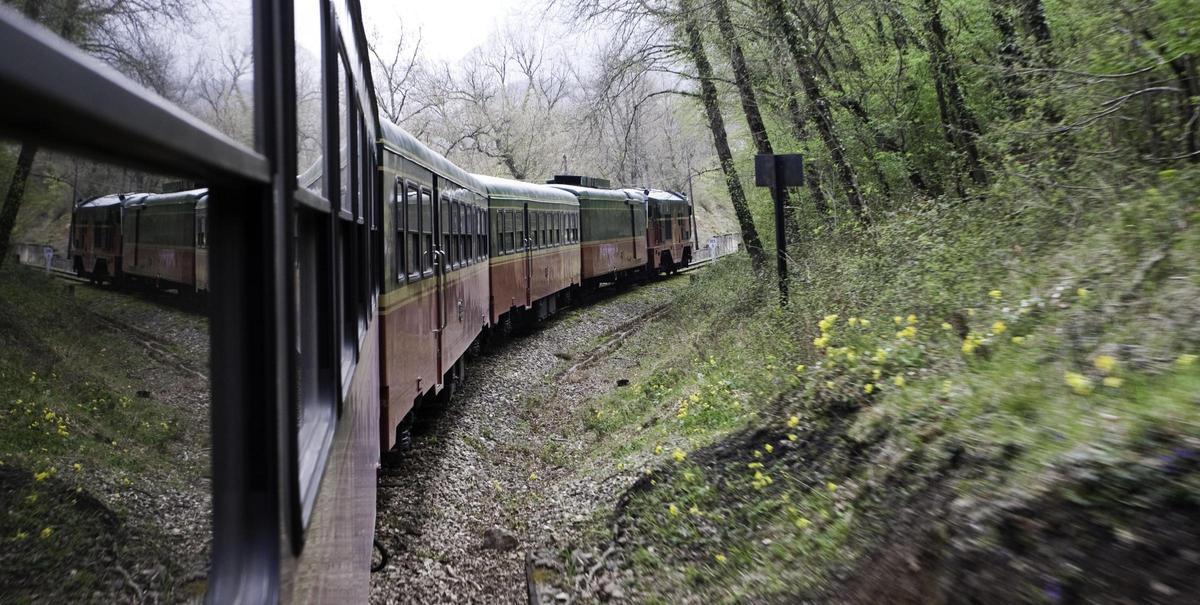 El Expreso de La Robla a su paso por un bosque