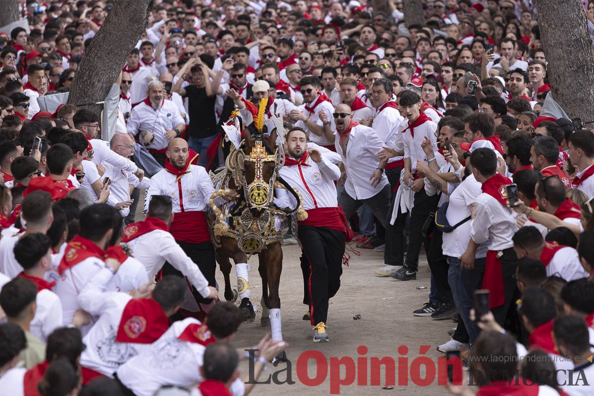 Así se ha vivido la carrera de Los Caballos del Vino en Caravaca