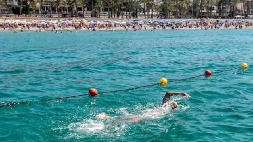 Gandia habilita el primer canal de nado en mar abierto de la provincia de València