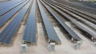 El Gobierno da vía libre a la primera megaplanta solar de Castellón: 258.000 paneles