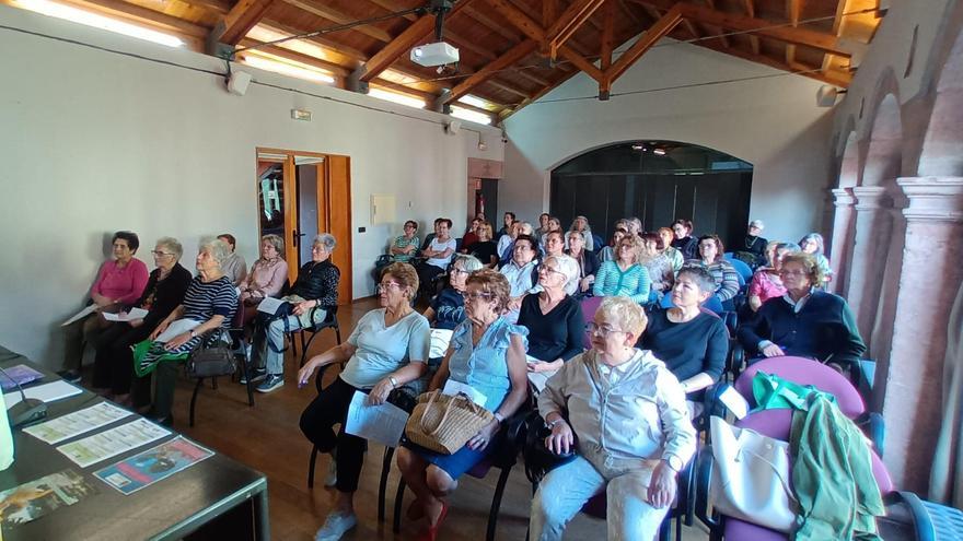 Público de una de las últimas charlas organizadas por la concejalía de Salud en la Casa de Cultura de Grado
