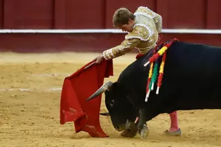 Feria Taurina 2025 | Segunda de abono