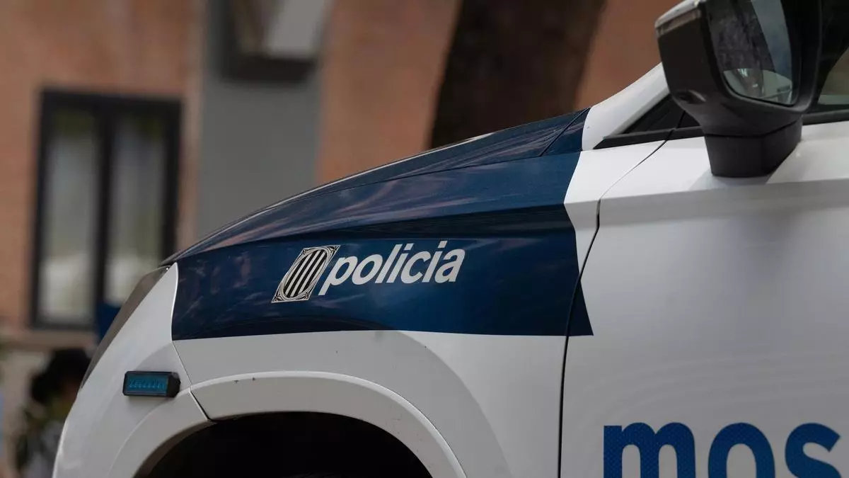 Los Mossos desmantelan una plantación de marihuana en Tarragona y detienen a su responsable