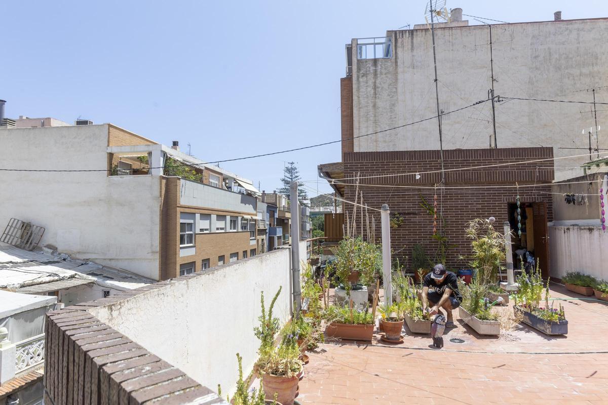 Un pequeño huerto urbano en una azotea de Alicante.