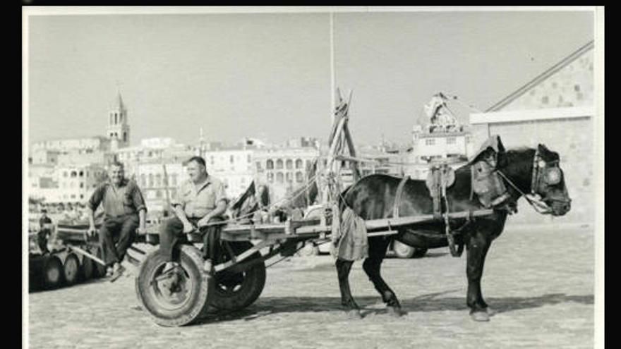 Imatges que fan parlar : Escenes del port de Palamós