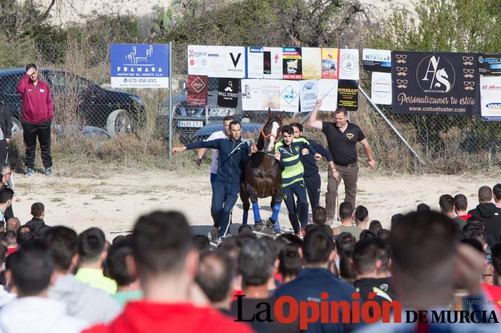 Entrenamiento Caballos del Vino