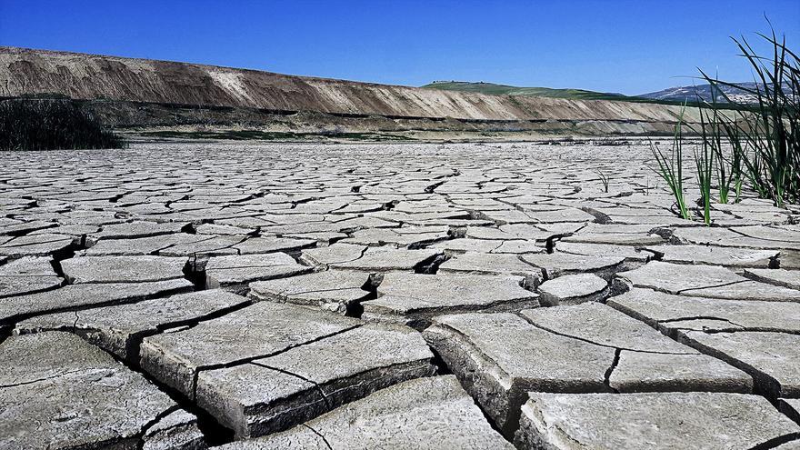 Cinco países europeus promovem um plano de gestão de risco para o solo e a água devido às alterações climáticas