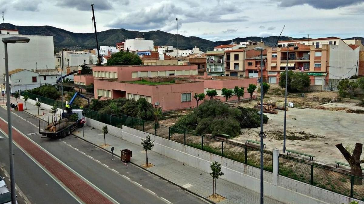 Tala de árboles en el parque de las escuelas nuevas de Aielo