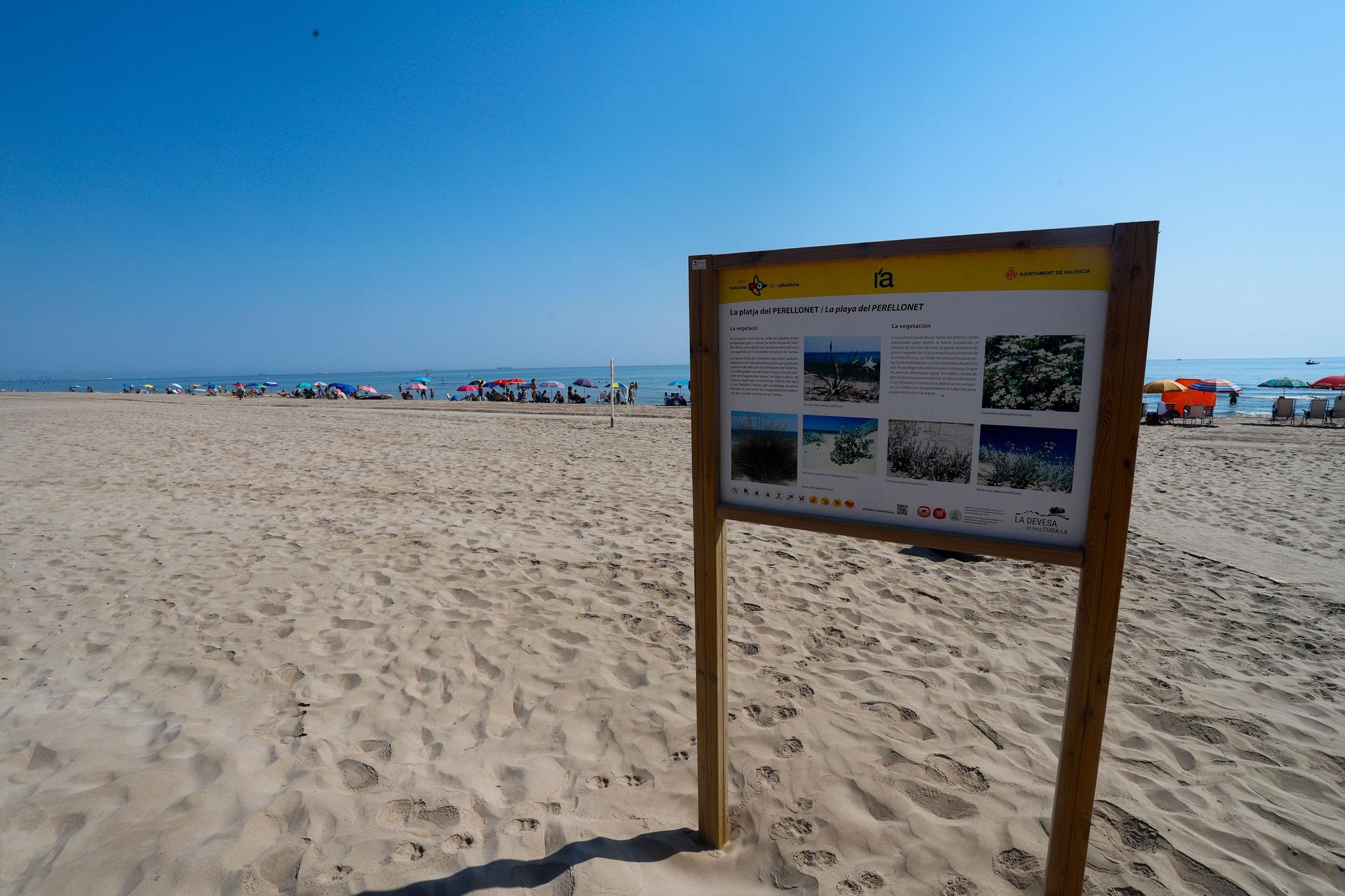 Las playas valencianas se enfrentan a graves problemas de regresión