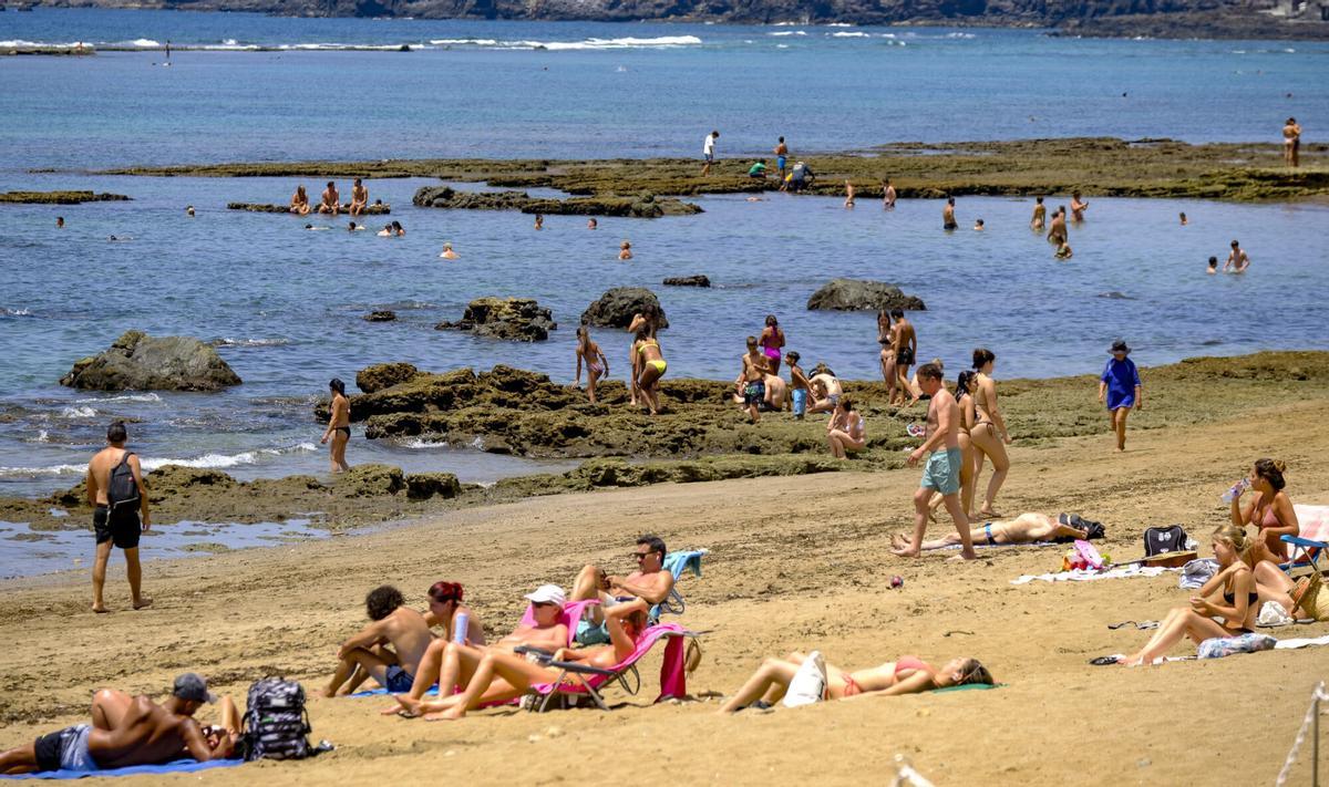 Las capas fósiles de Las Canteras, al descubierto